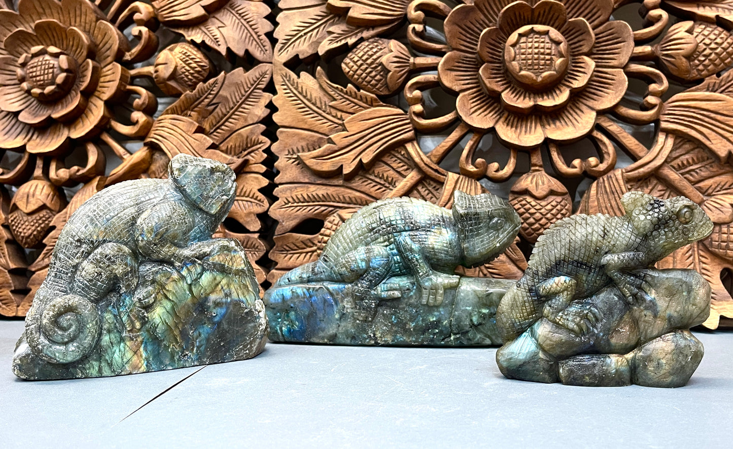 Labradorite Chameleons