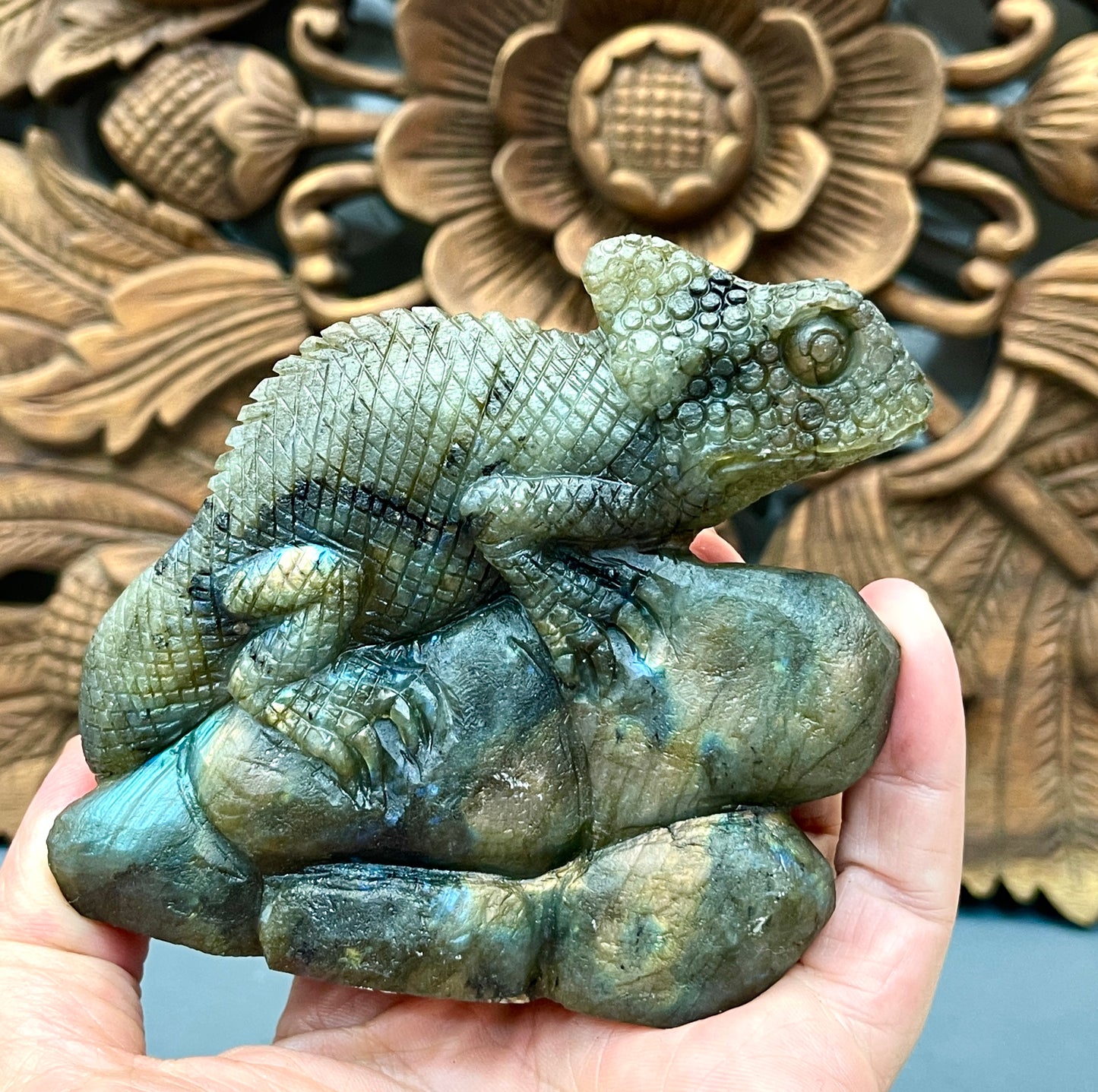 Labradorite Chameleons