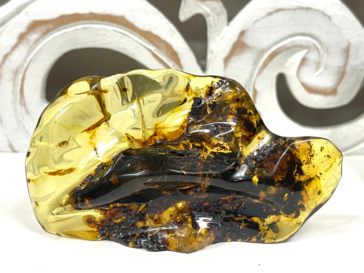 Polished Amber Specimens