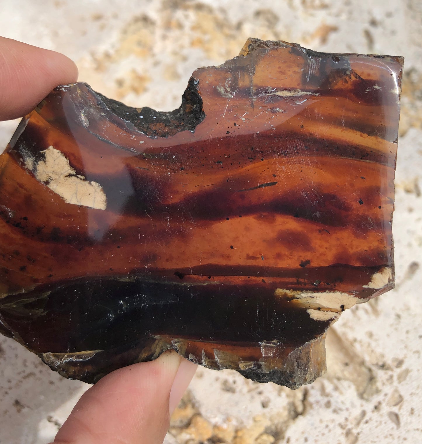 Blue Amber Raw Edge Free form Slices From Sumantra, Indonesia