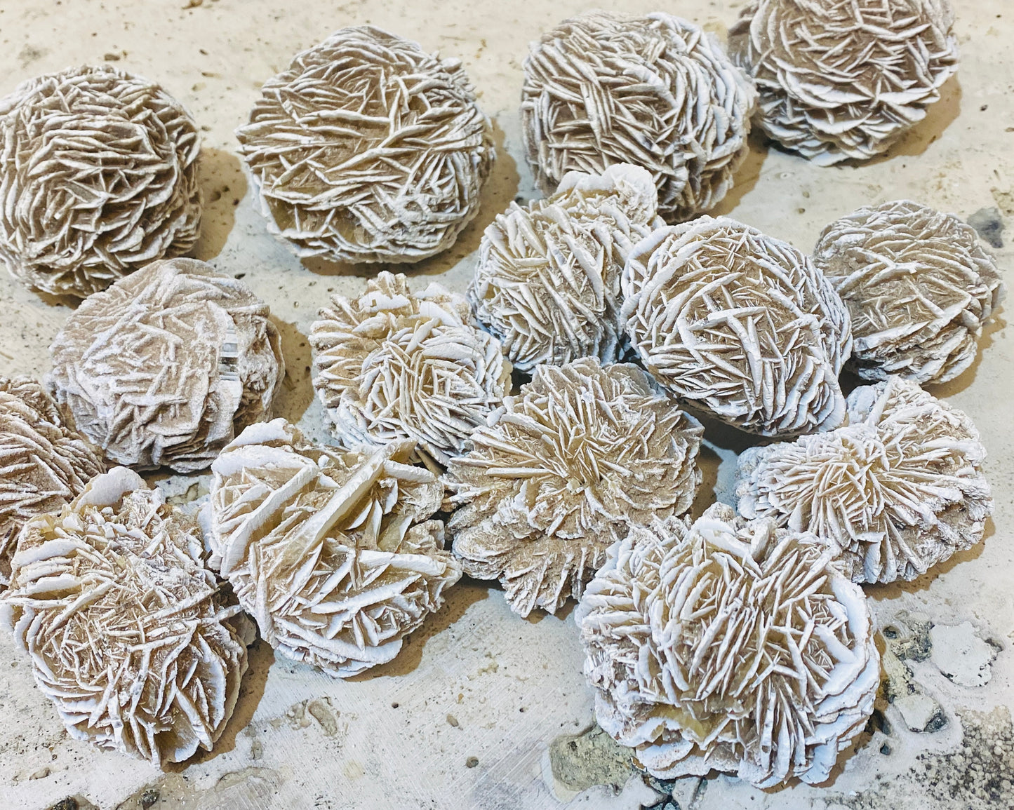 Large Desert Rose Selenite