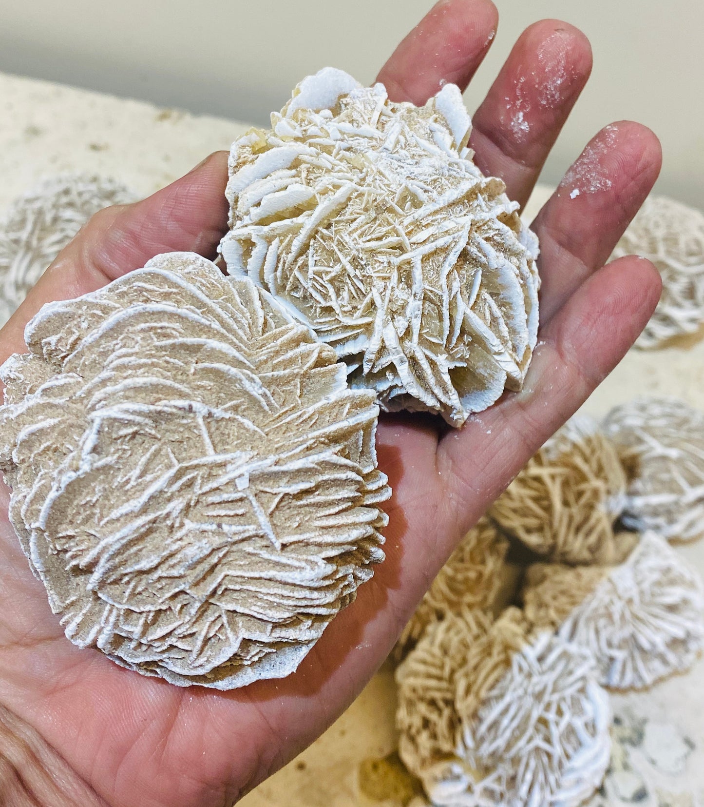 Large Desert Rose Selenite