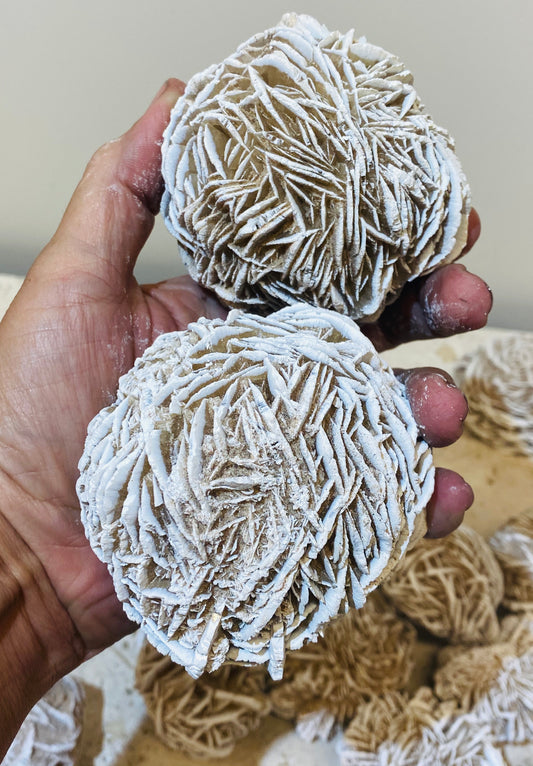 Large Desert Rose Selenite
