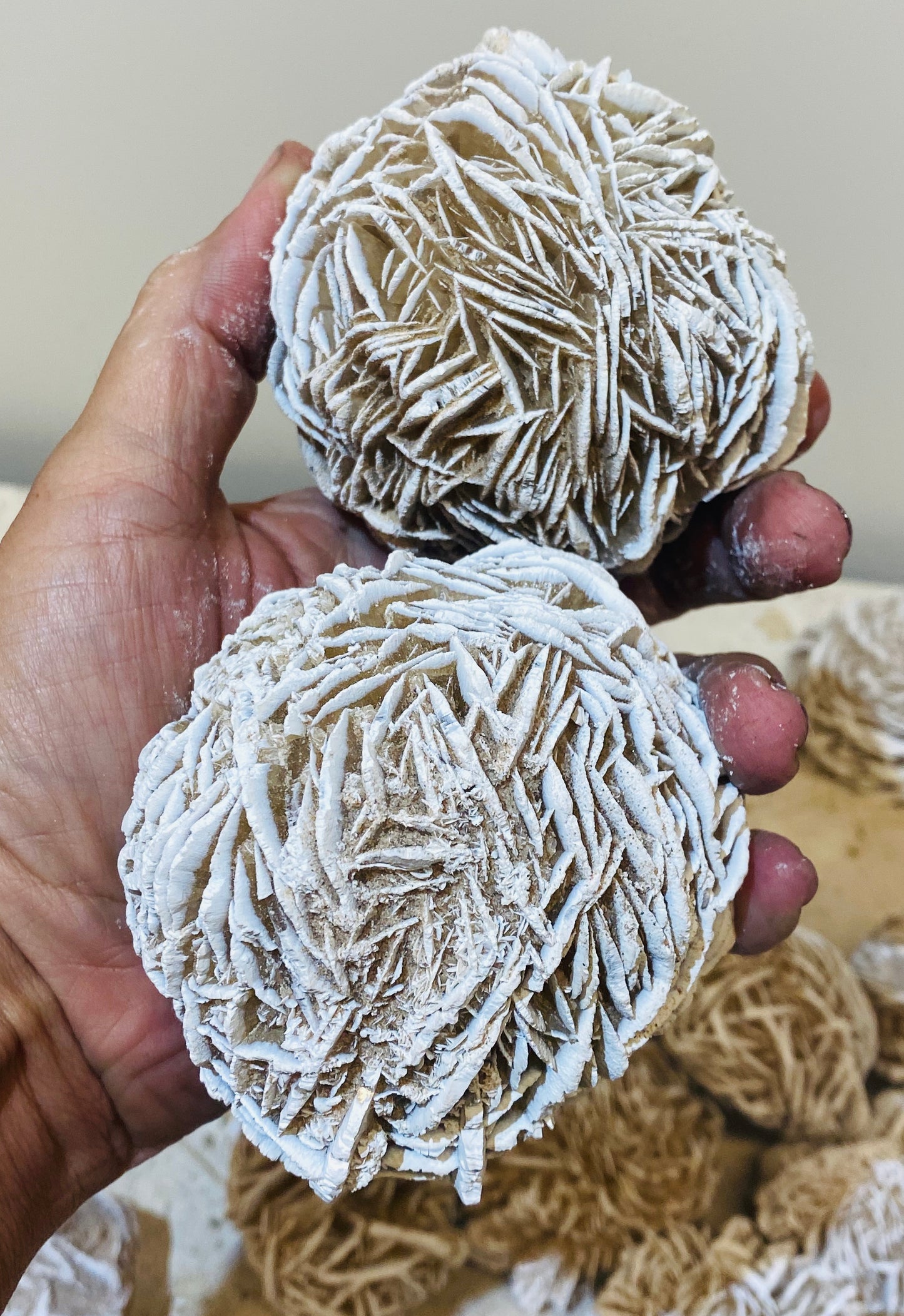 Large Desert Rose Selenite