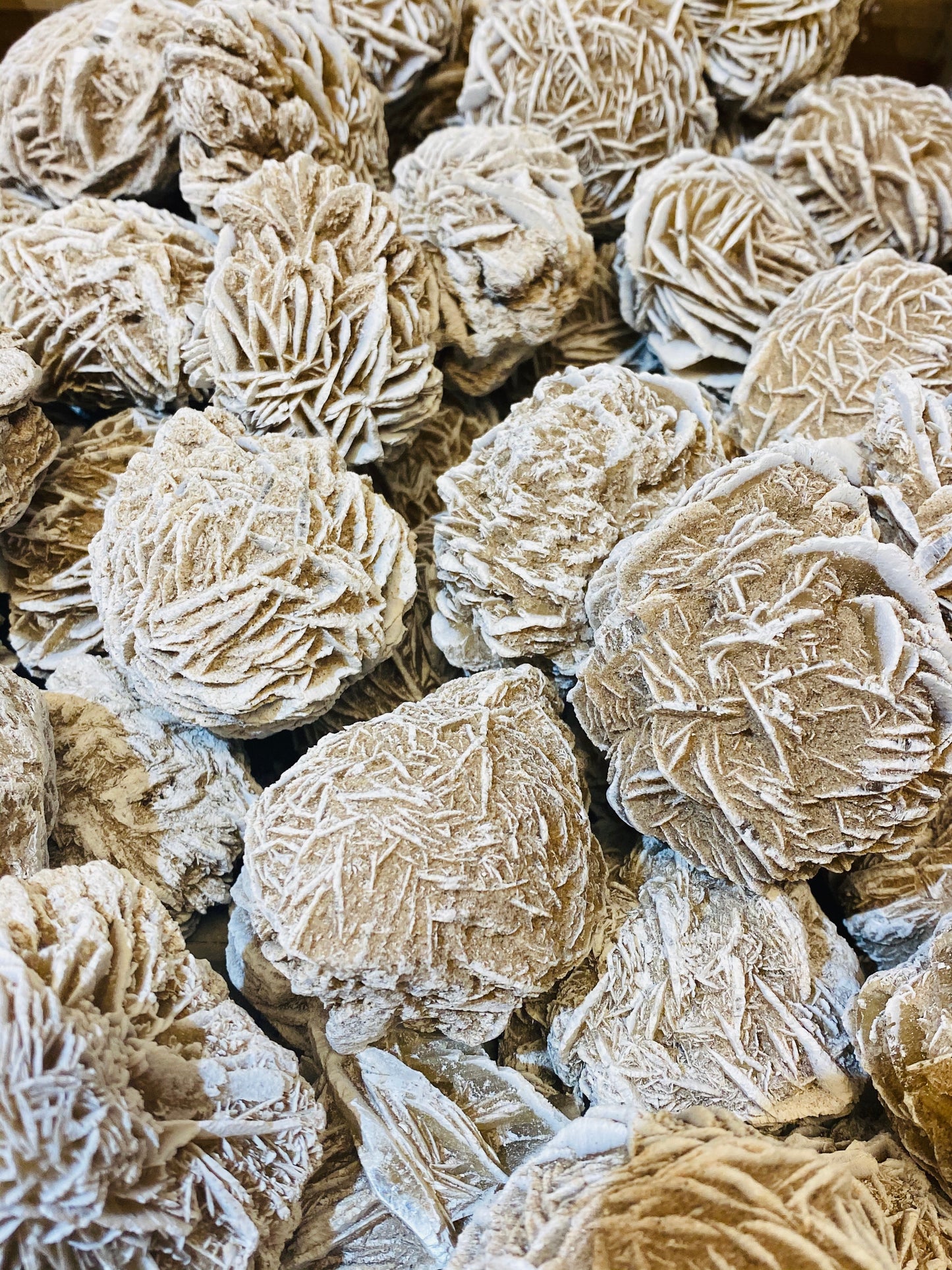 Large Desert Rose Selenite