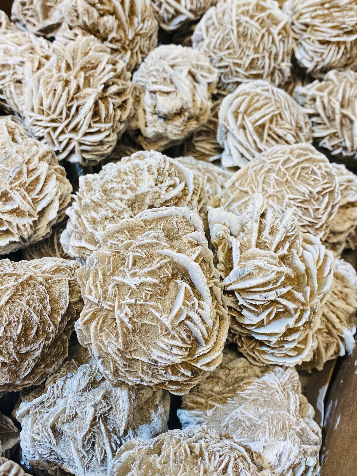 Large Desert Rose Selenite