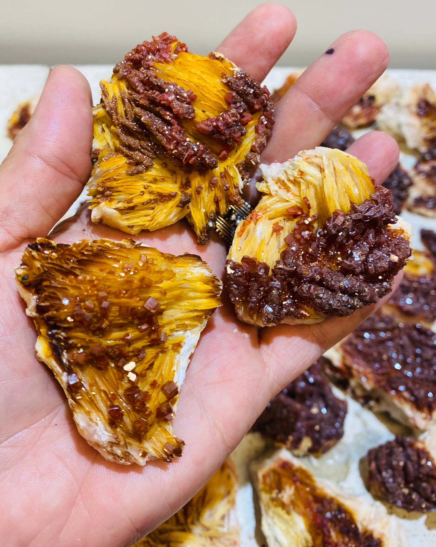 Striking Rare Vanadinite growing on Barite Specimens