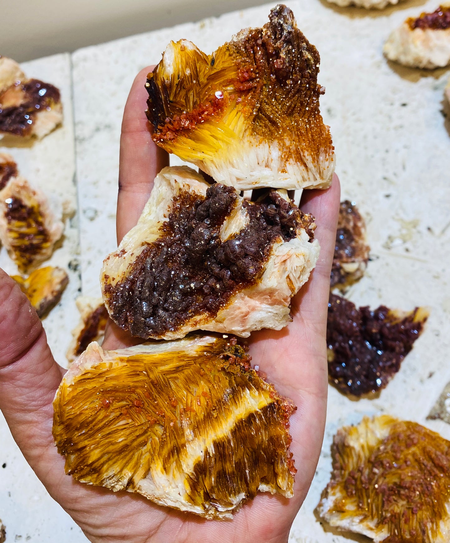 Striking Rare Vanadinite growing on Barite Specimens