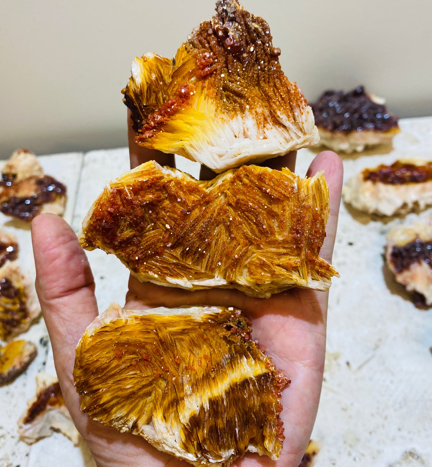 Striking Rare Vanadinite growing on Barite Specimens