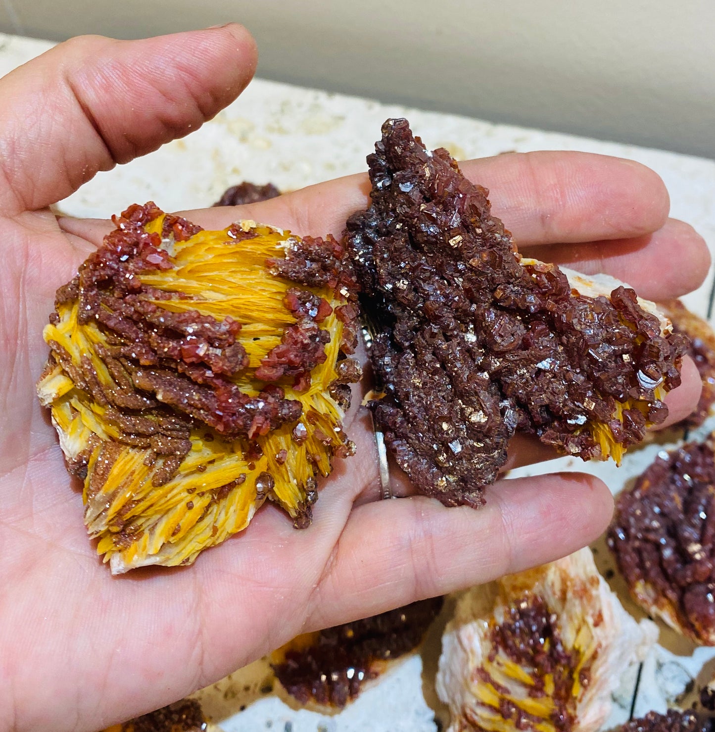 Striking Rare Vanadinite growing on Barite Specimens