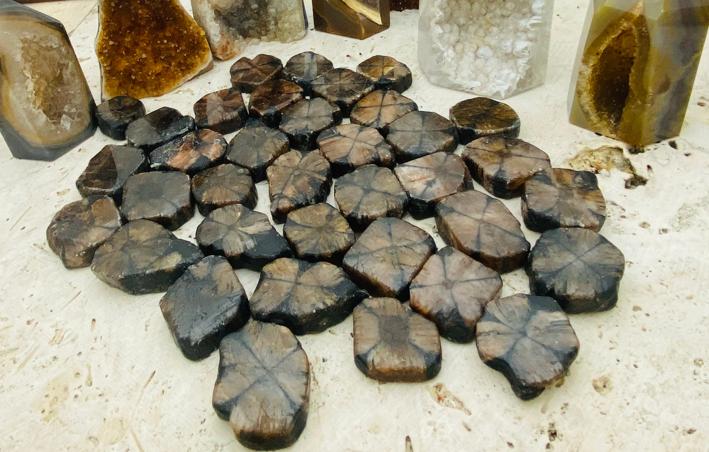 Chiastolite / Andalusite Freeforms Palm Stones
