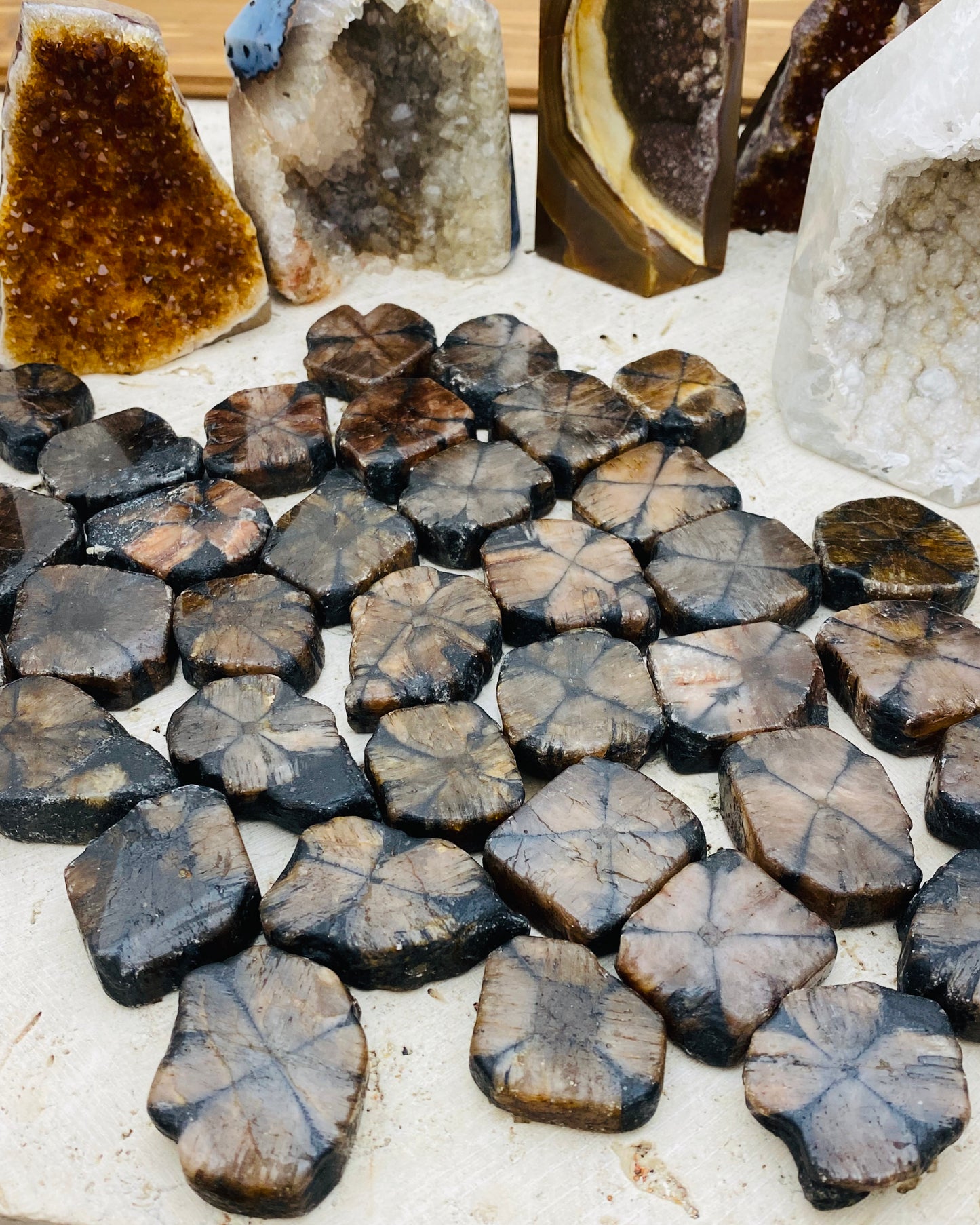 Chiastolite / Andalusite Freeforms Palm Stones