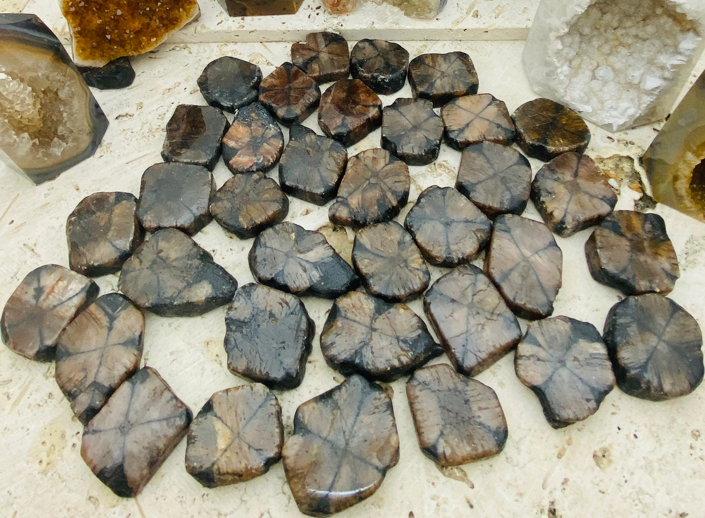 Chiastolite / Andalusite Freeforms Palm Stones