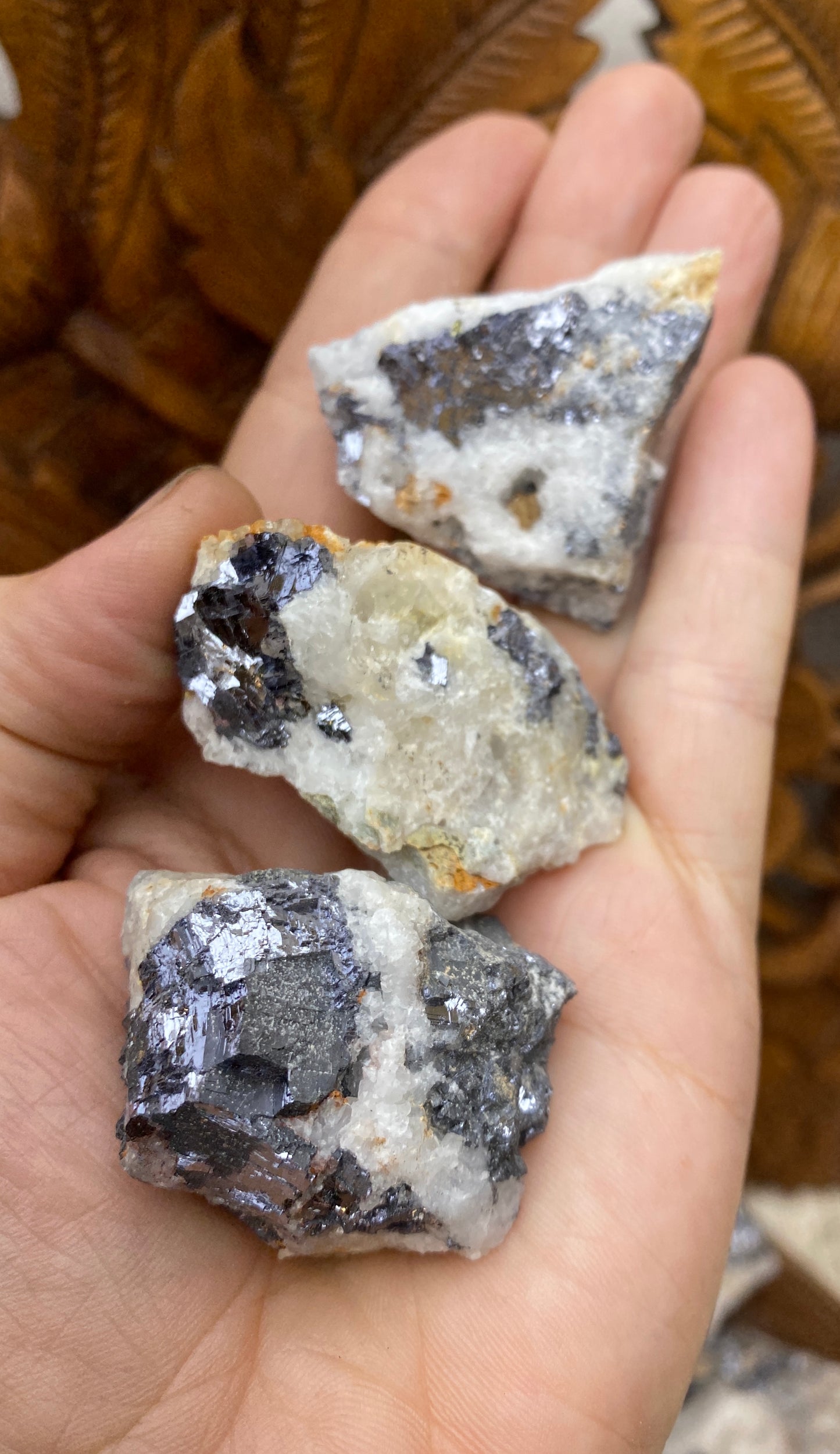 Raw Galena in Quartz Chunks