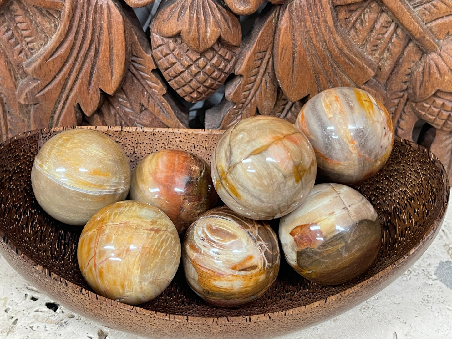 Petrified Wood Spheres