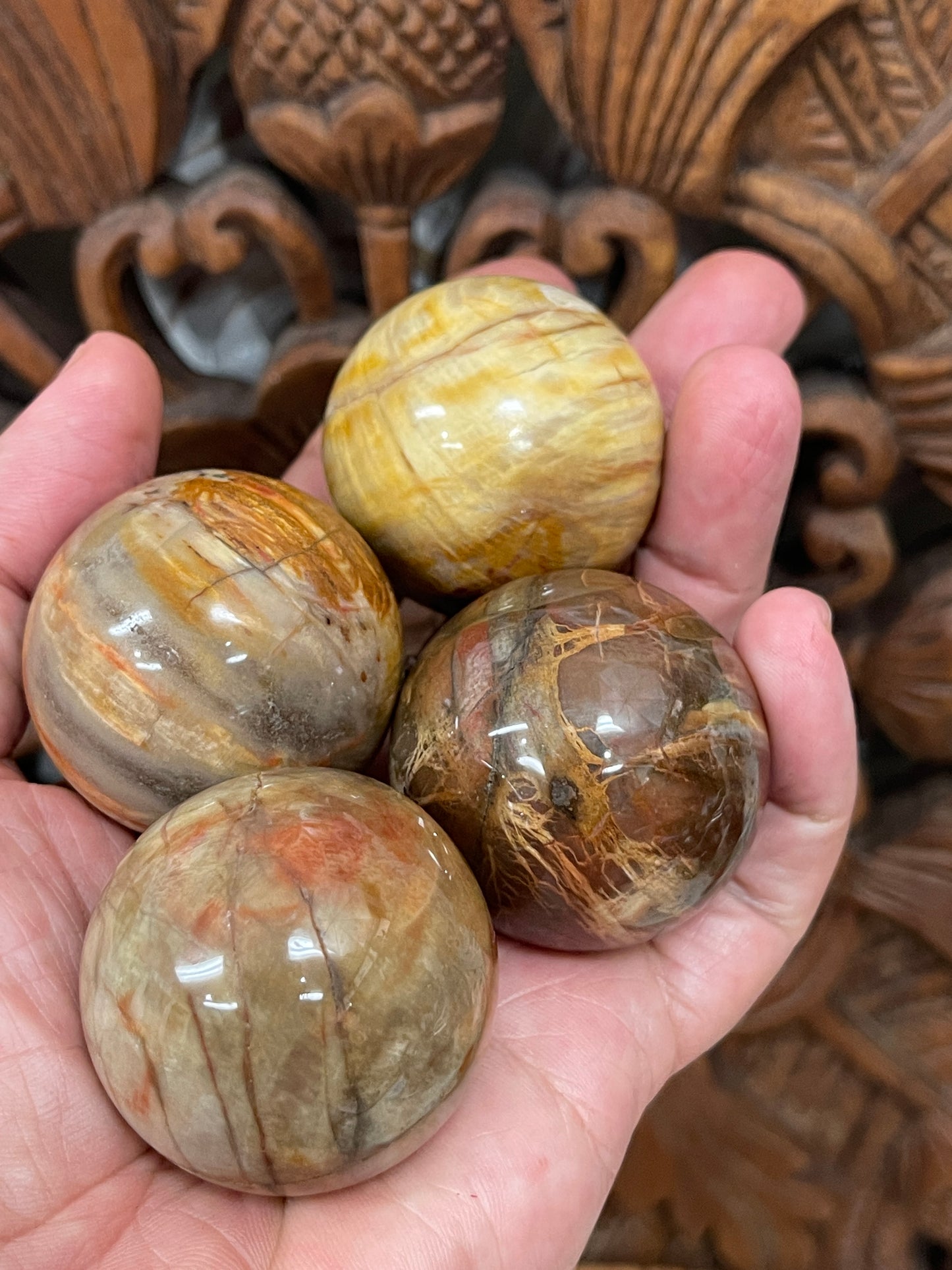 Petrified Wood Spheres