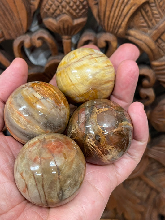 Petrified Wood Spheres