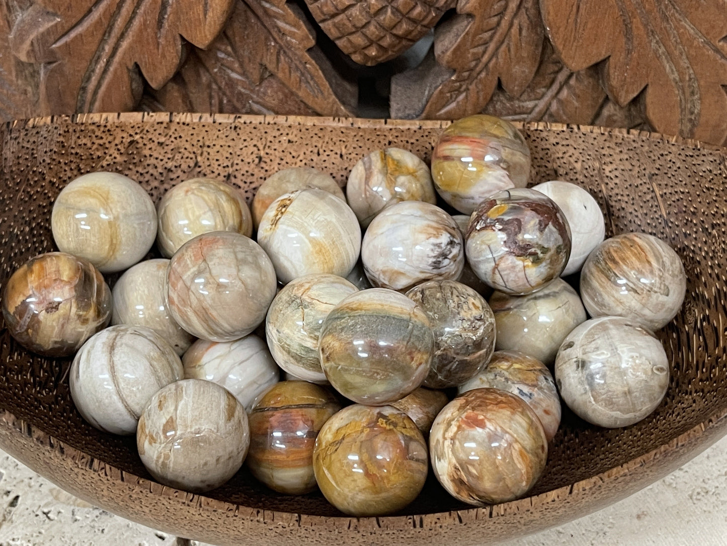 Petrified Wood Spheres
