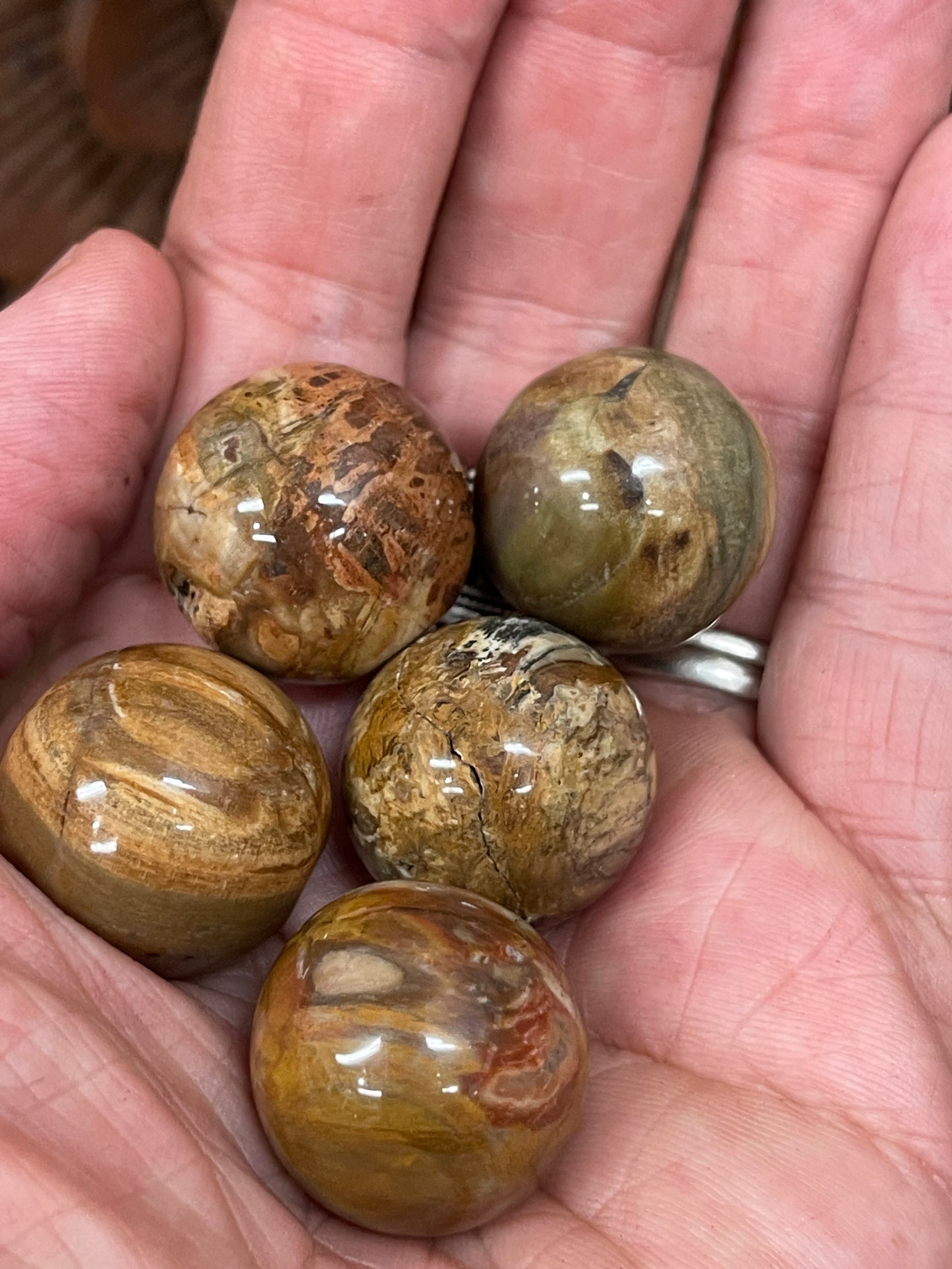 Petrified Wood Spheres