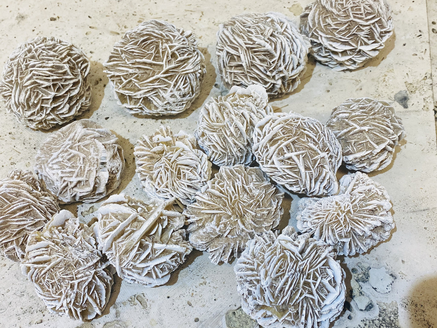 Large Desert Rose Selenite