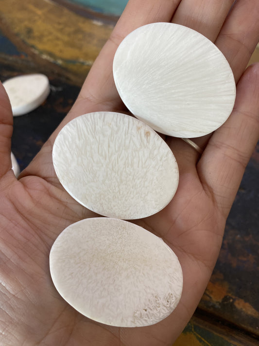 Scolecite Large Coins