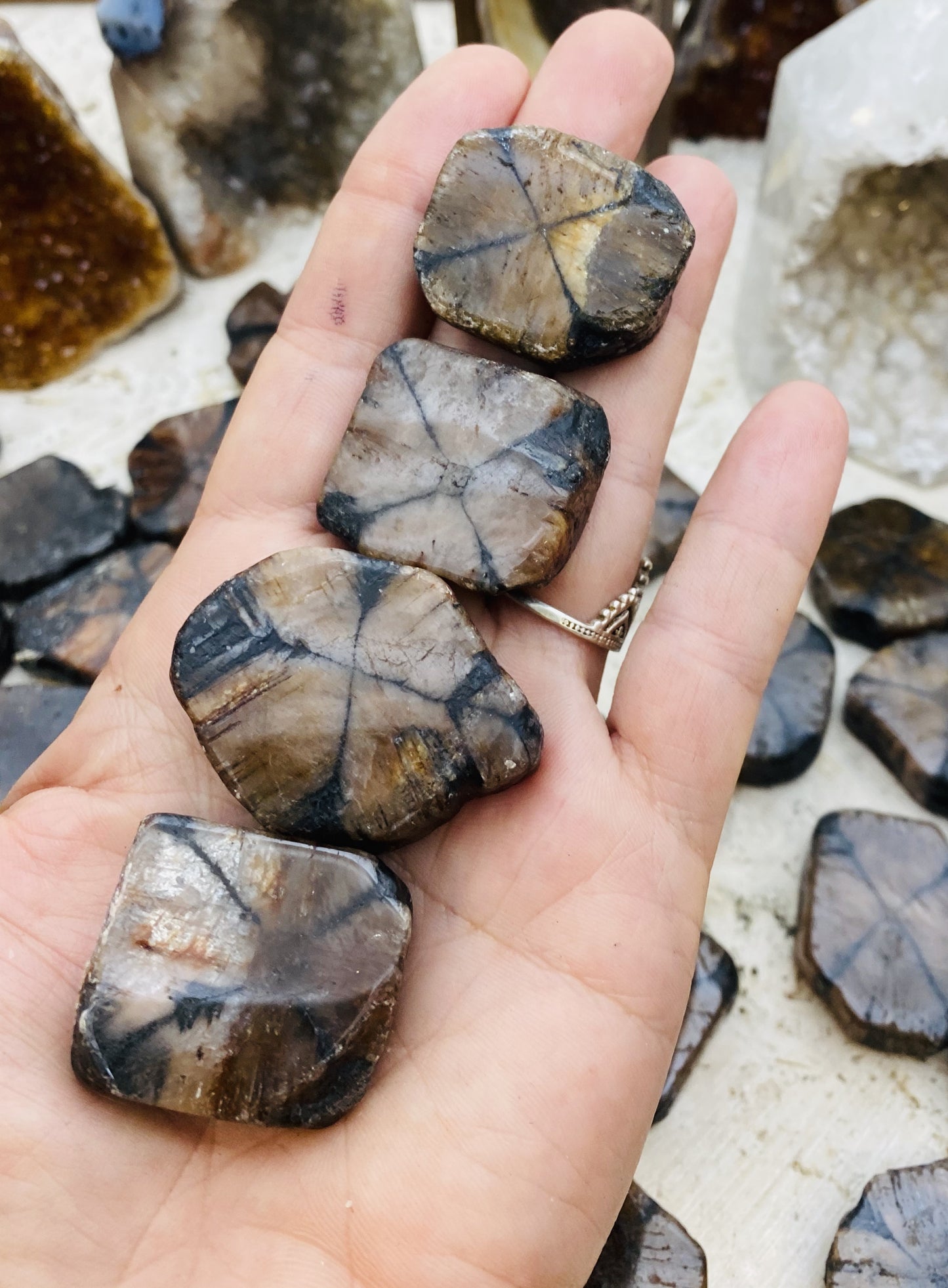 Chiastolite / Andalusite Freeforms Palm Stones