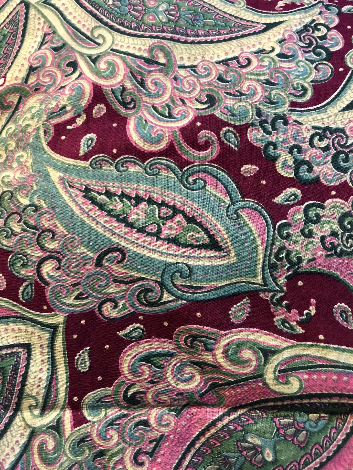 Border Print Paisley Curtain Panel