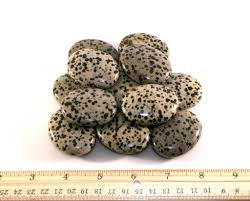 Dalmatian Jasper Palm Stones