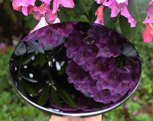 Black Obsidian Scrying Mirrors