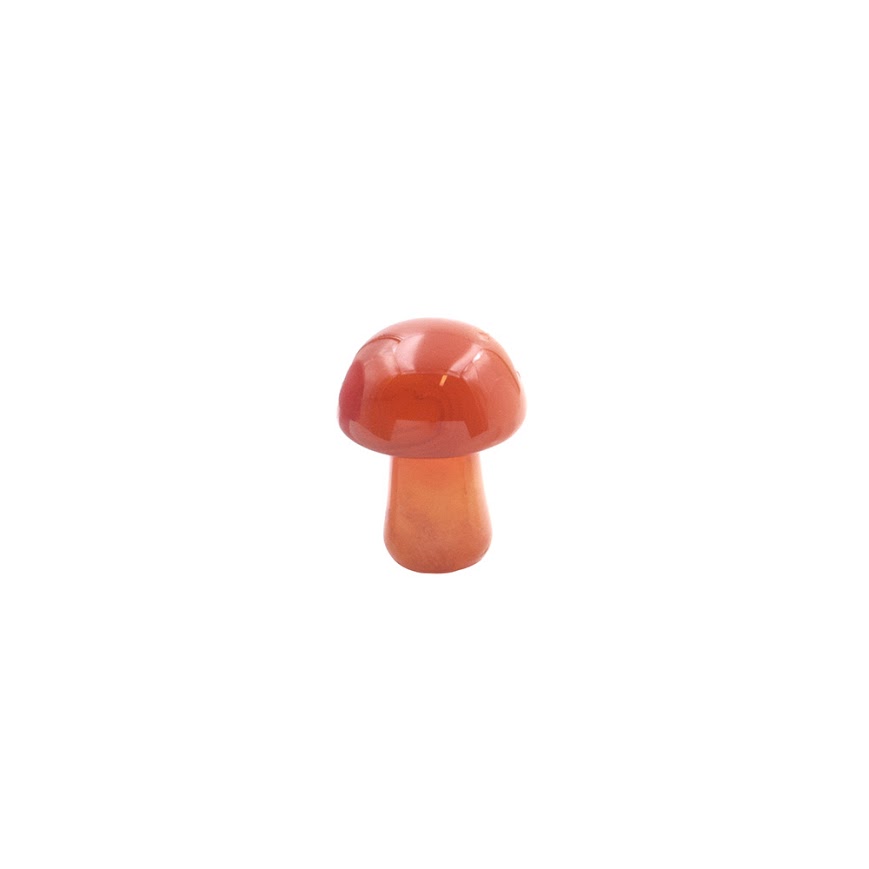 Small Stone Mushroom