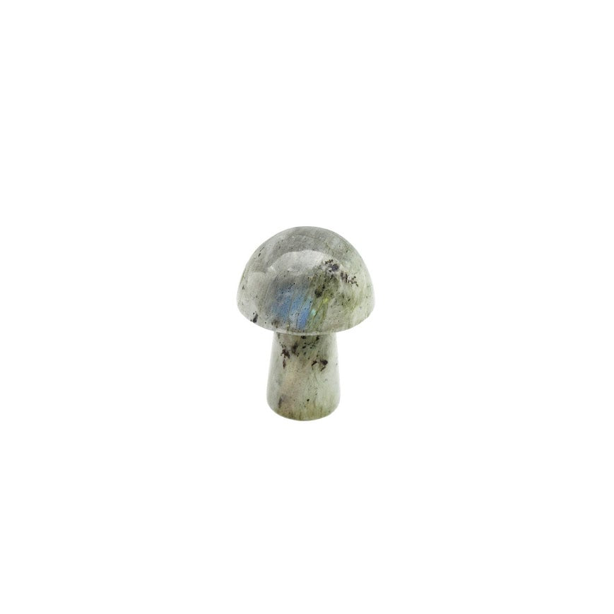 Small Stone Mushroom