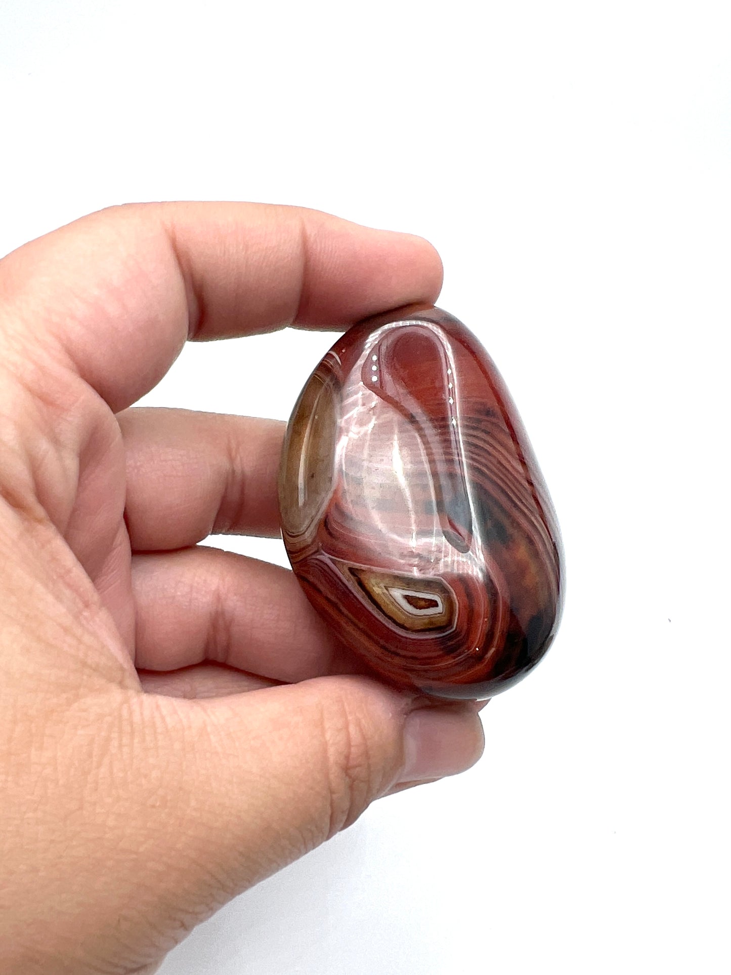 Sardonyx Freeforms