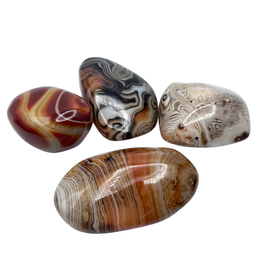 Sardonyx Freeforms