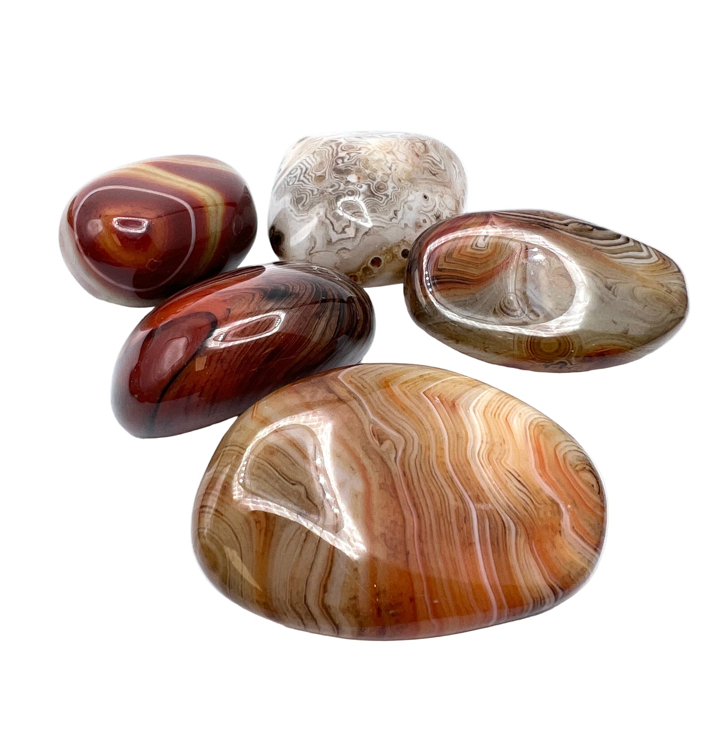Sardonyx Freeforms