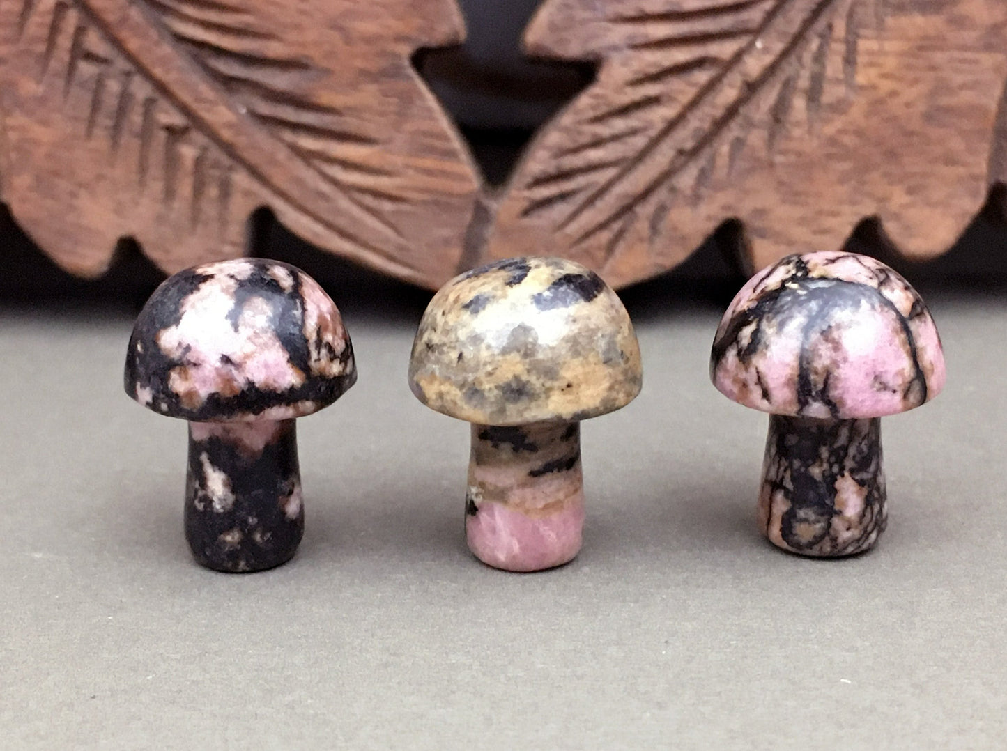 Small Stone Mushroom