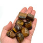 Tigers Eye Tumbles