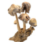 Large Parasite Wood Mushroom Colony Carving