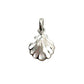 Sea Shell Pendants