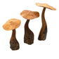 Mushroom Parasite Wood Carvings