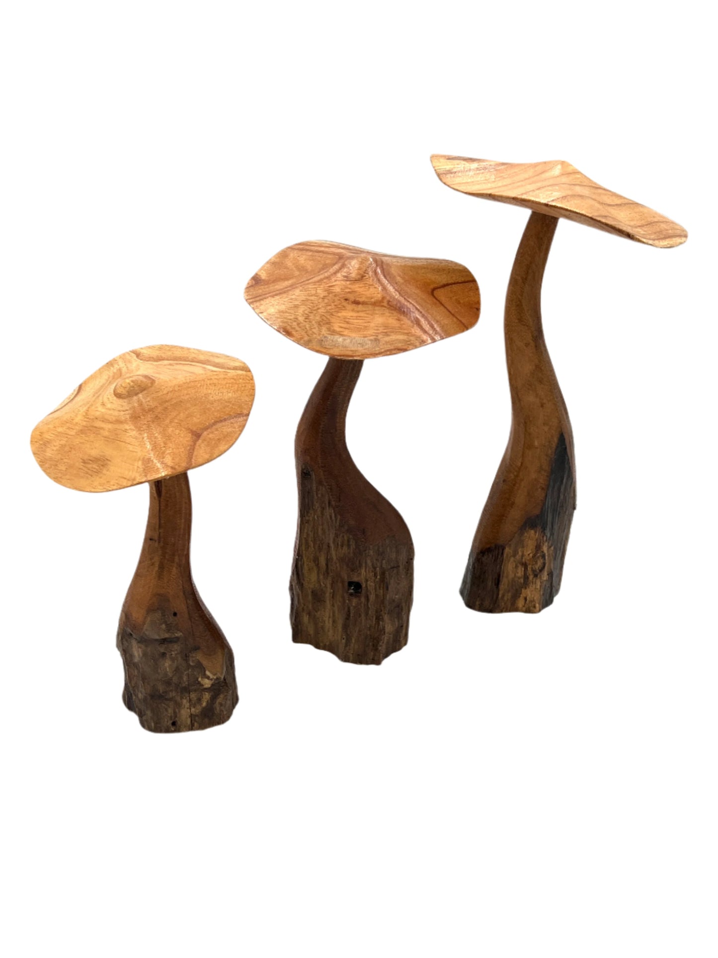 Mushroom Parasite Wood Carvings