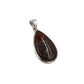 Fossilized Dinosaur Bone Teardrop Pendants