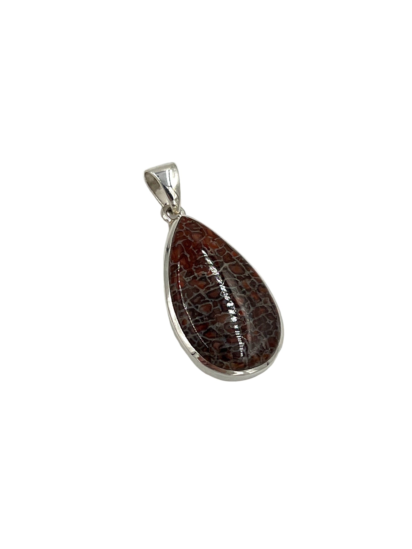 Fossilized Dinosaur Bone Teardrop Pendants