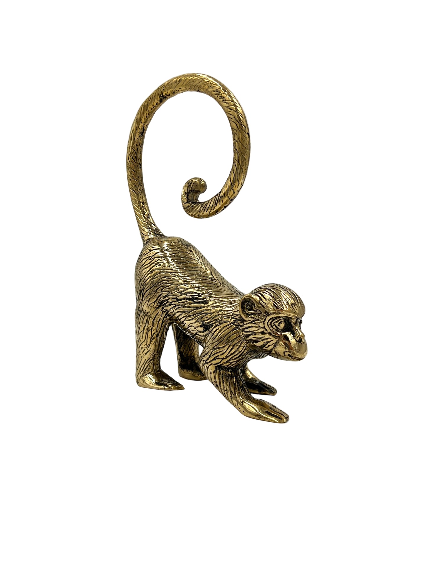 Bronze Monkey