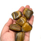 Tigers Eye Tumbles