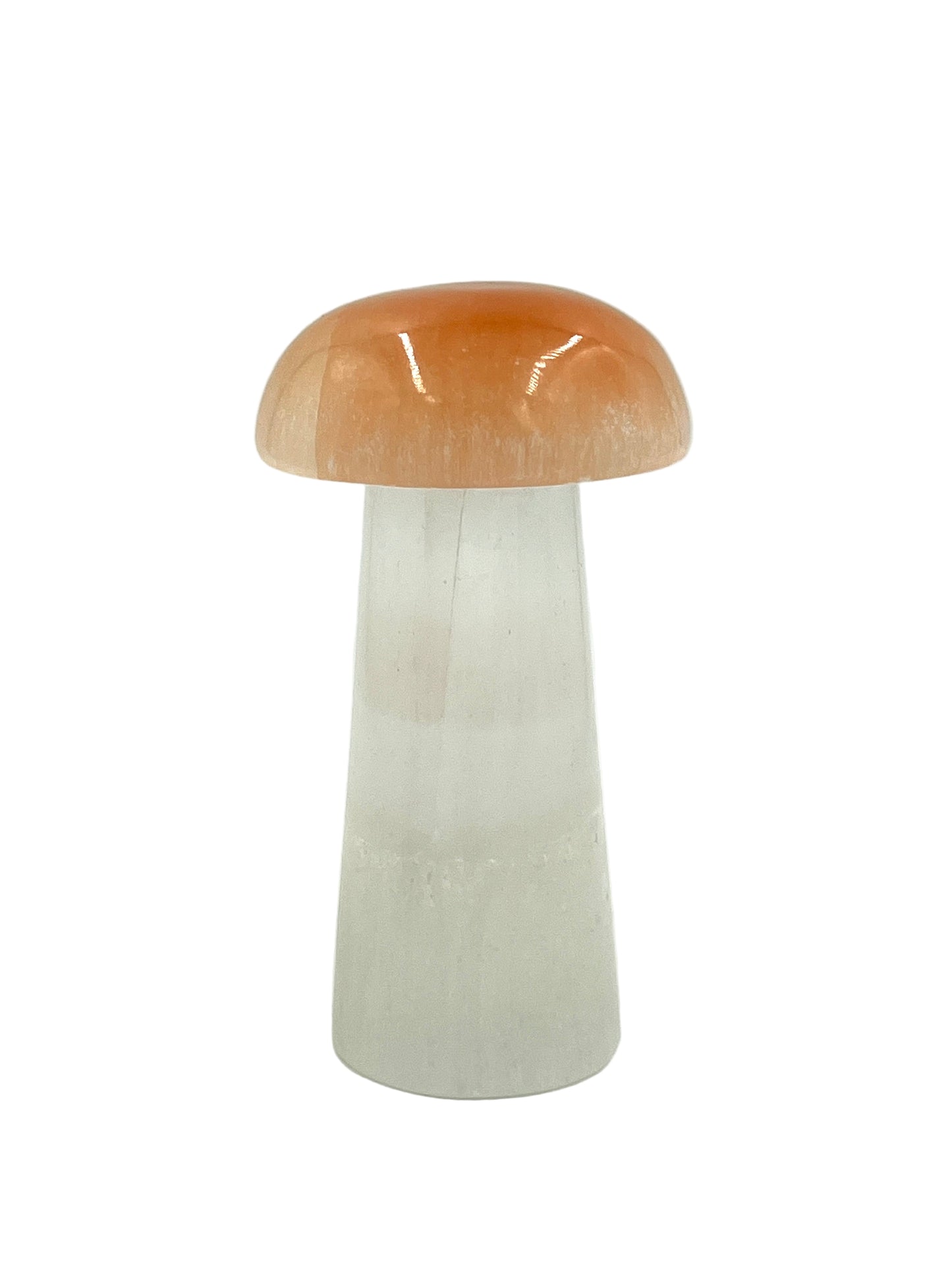 Selenite Mushroom Lamp
