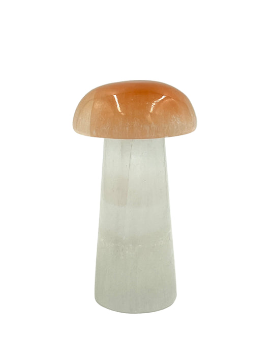 Selenite Mushroom Lamp