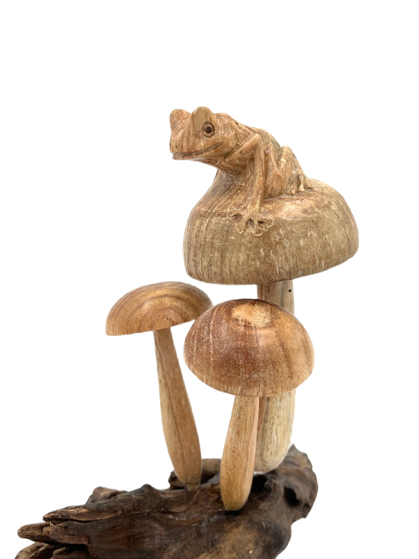 Parasite Wood Frog on Mushroom Colony Carvings