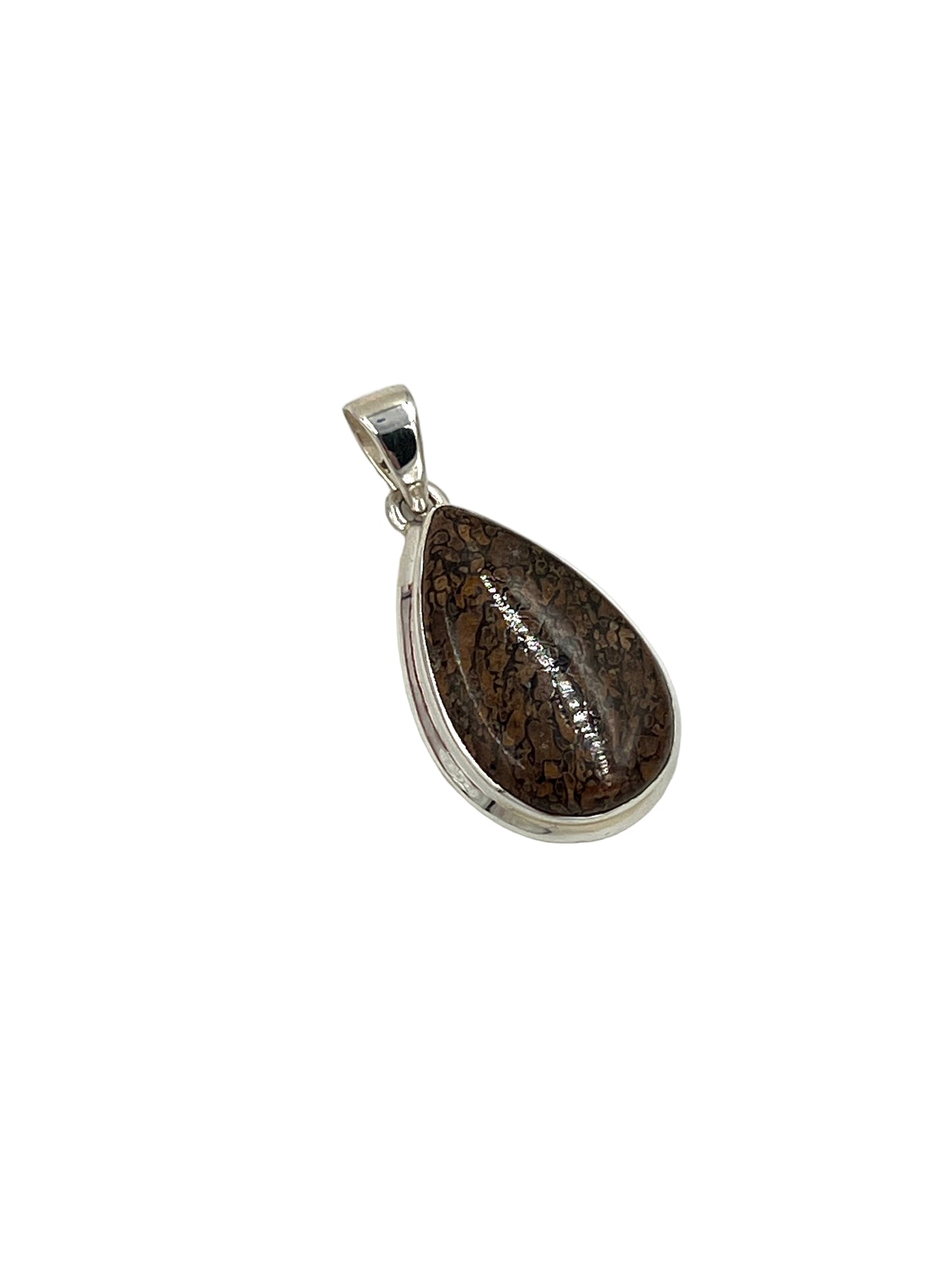 Fossilized Dinosaur Bone Teardrop Pendants