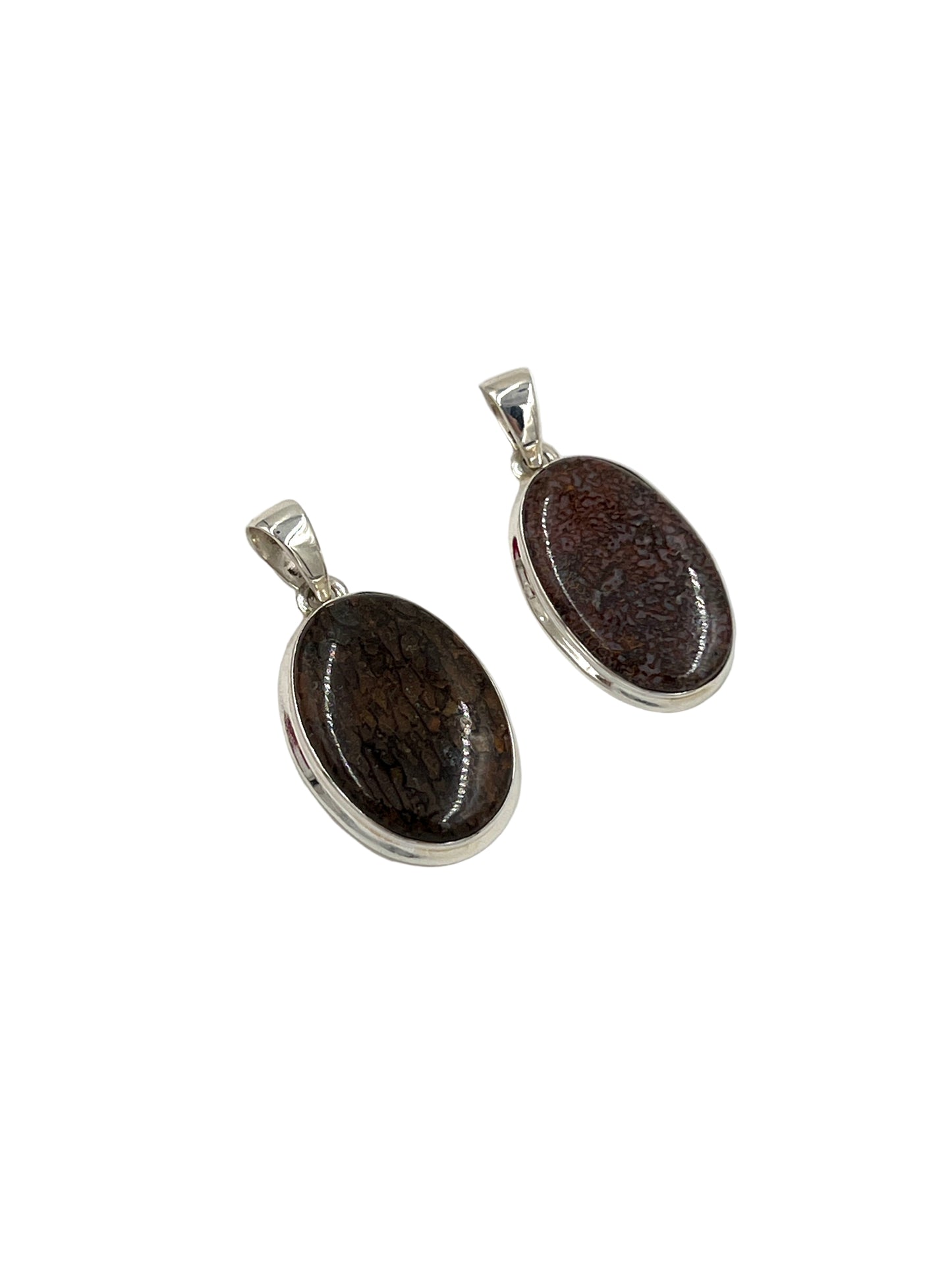 Fossilized Dinosaur Bone Oval Pendants