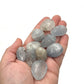 Celestite Tumbles